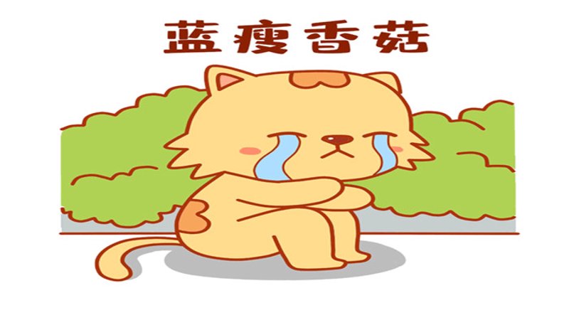 把握电商购物平台新时代